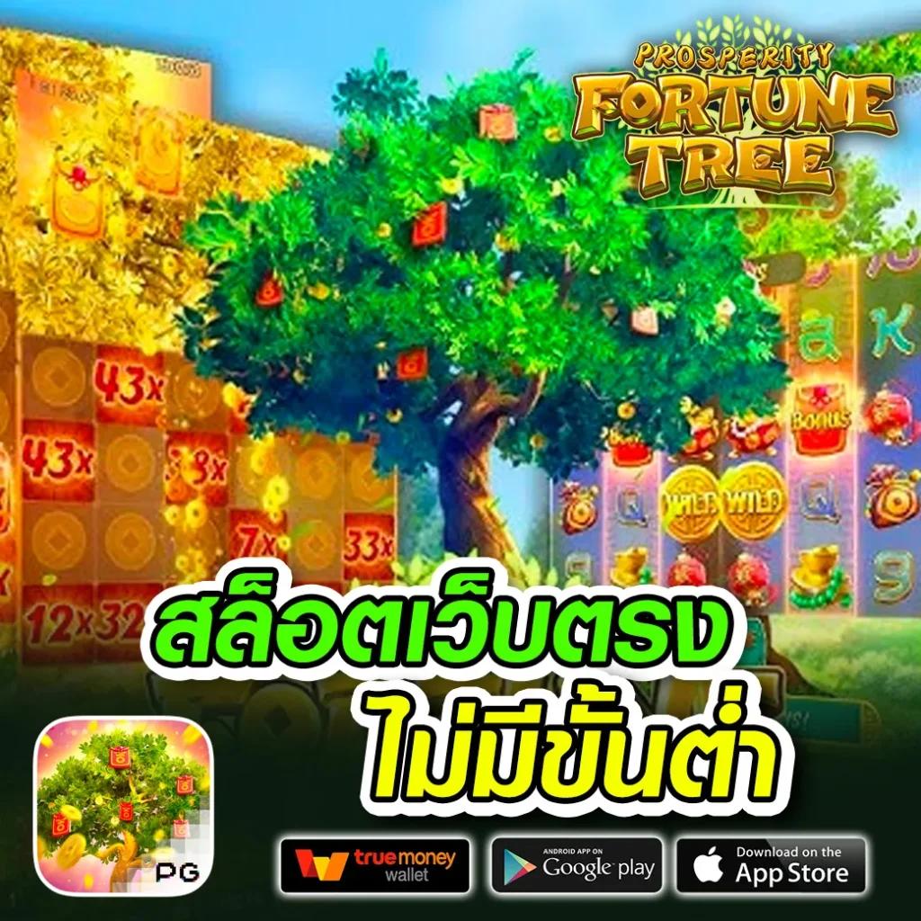 Betflik เว็บรวมเกมคาสิโนออนไลน์ลิขสิทธิ์แท้ เล่นง่าย ถอนได้จริง