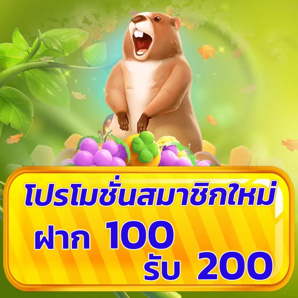 naza24 online คาสิโนครบจบในเว็บเดียว บริการสุดพรีเมียมโดนใจ