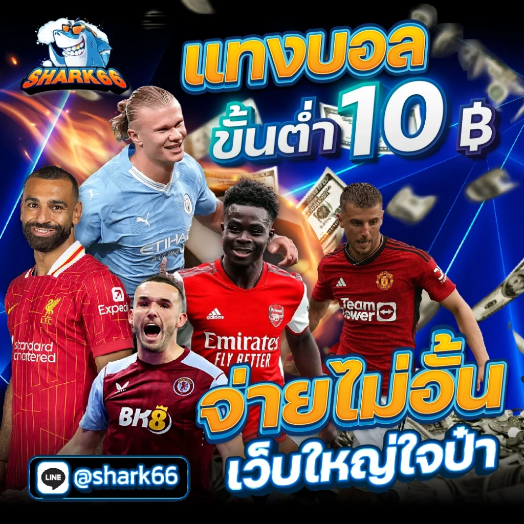 t8 สล็อต เว็บคาสิโนออนไลน์สุดมันส์ ให้บริการครบครันพร้อมโปรปัง