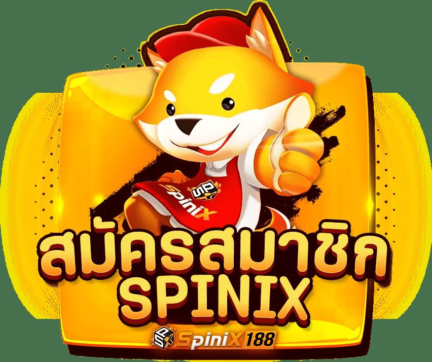 ดูบอลสด 7m สตรีมตรงความคมชัดระดับ Full HD ตลอด 24 ชั่วโมง