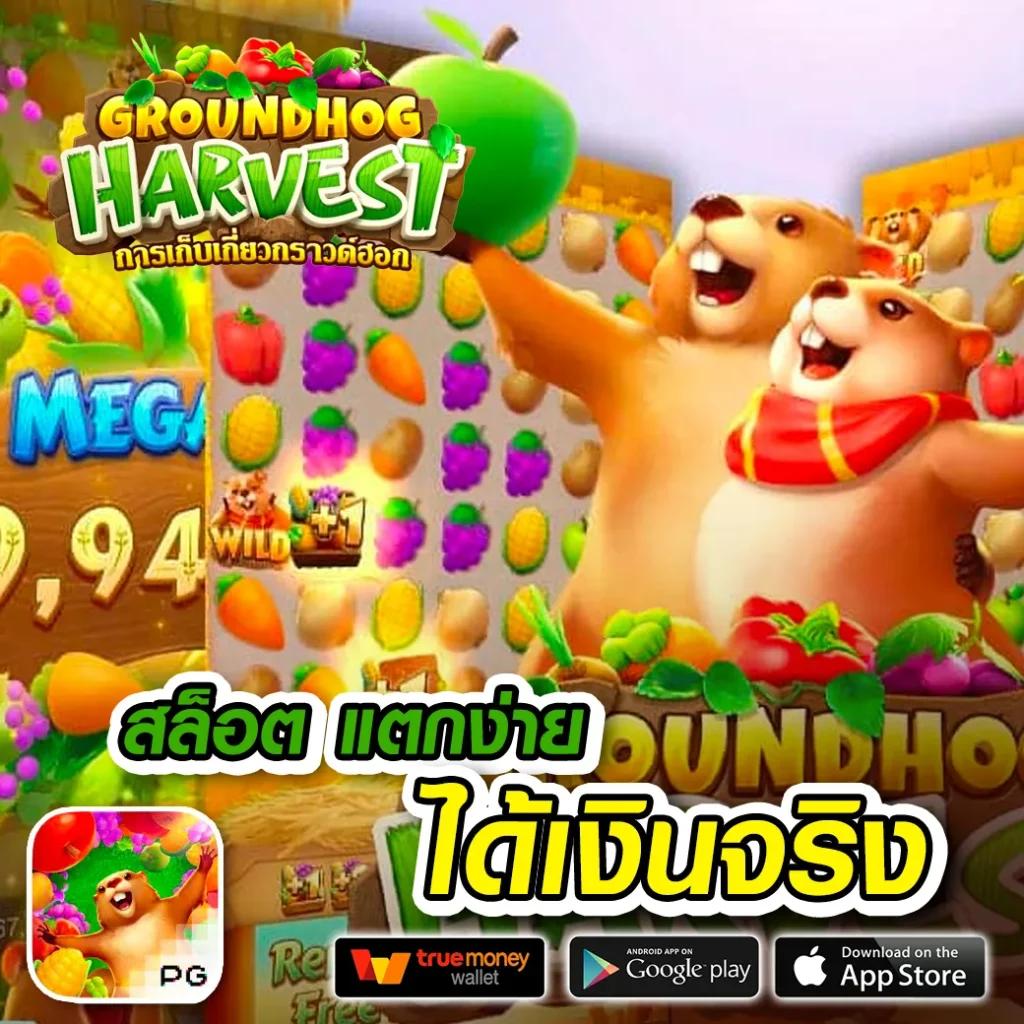 เล่นผ่านเว็บแท้กับ slot game 6666 ระบบใหม่ล่าสุด เดิมพันสนุก มั่นใจได้เต็มที่